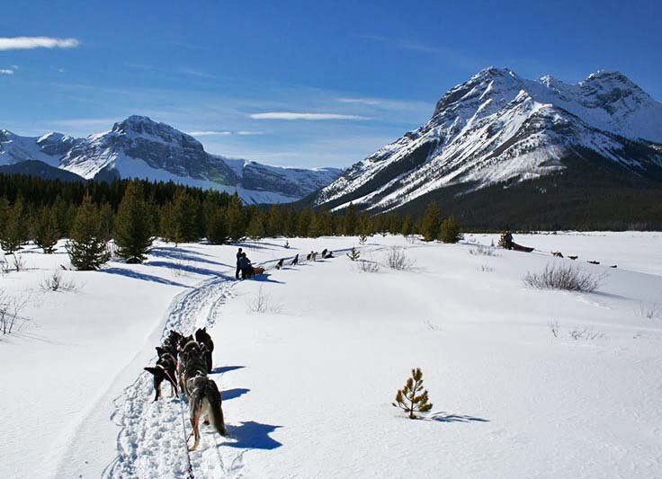 A bluebird day with mountain views and dogs pulling sleds