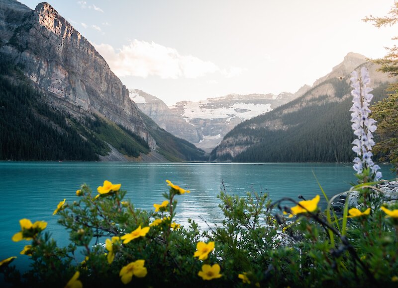 Lake Louise in Spring