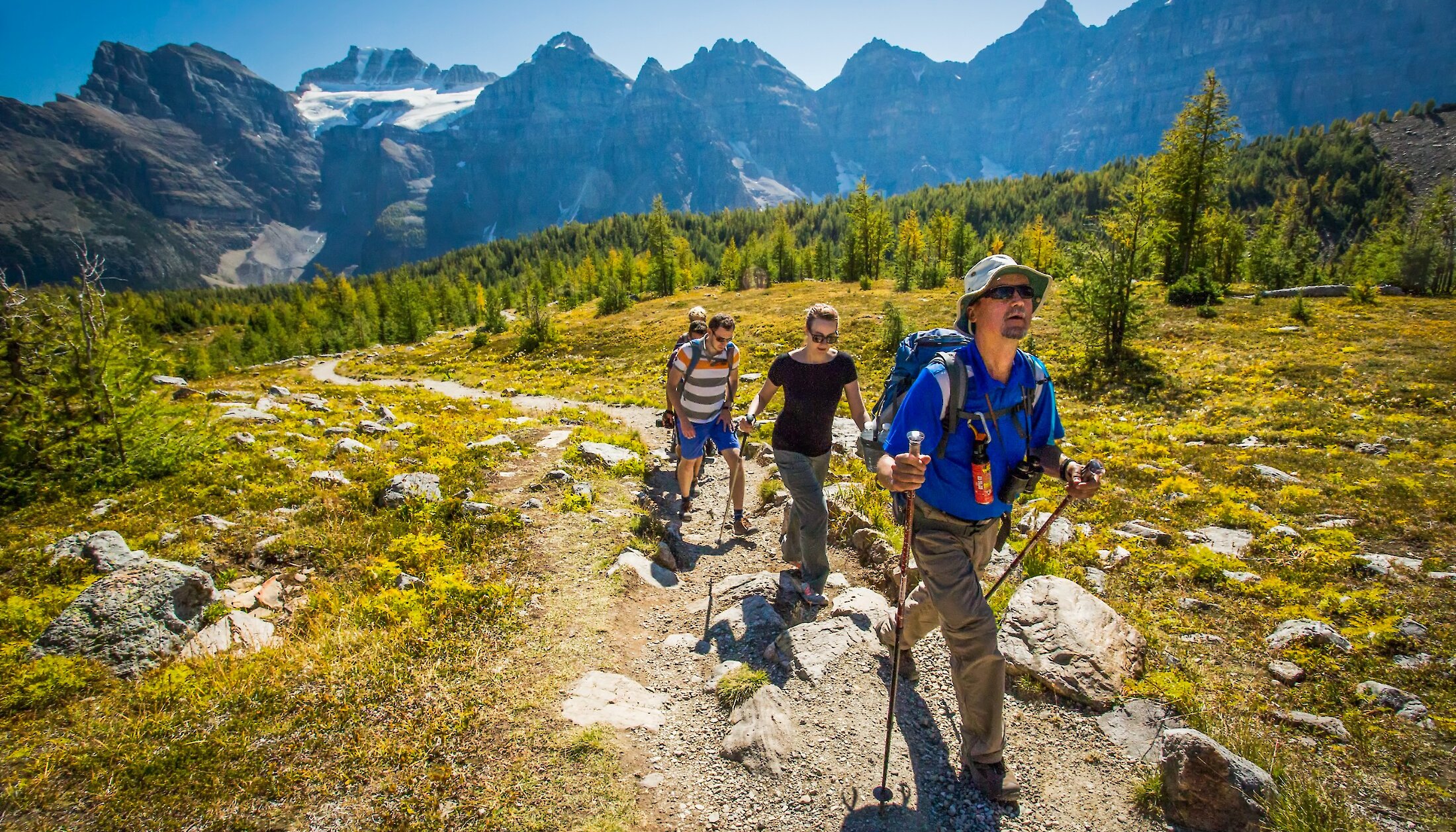 A convoy of Moraine Lake shuttle bus driving the lake road with picturesque mountain views