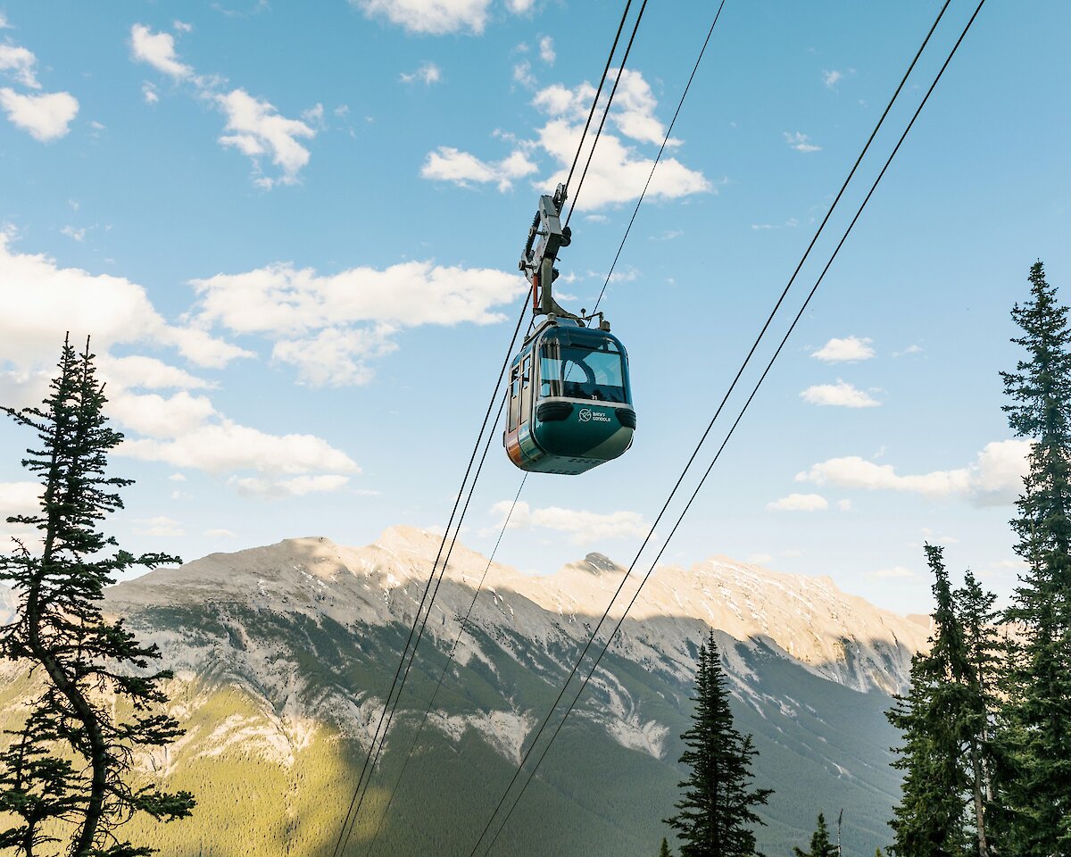 Ride to the top of the Banff Gondola in summer