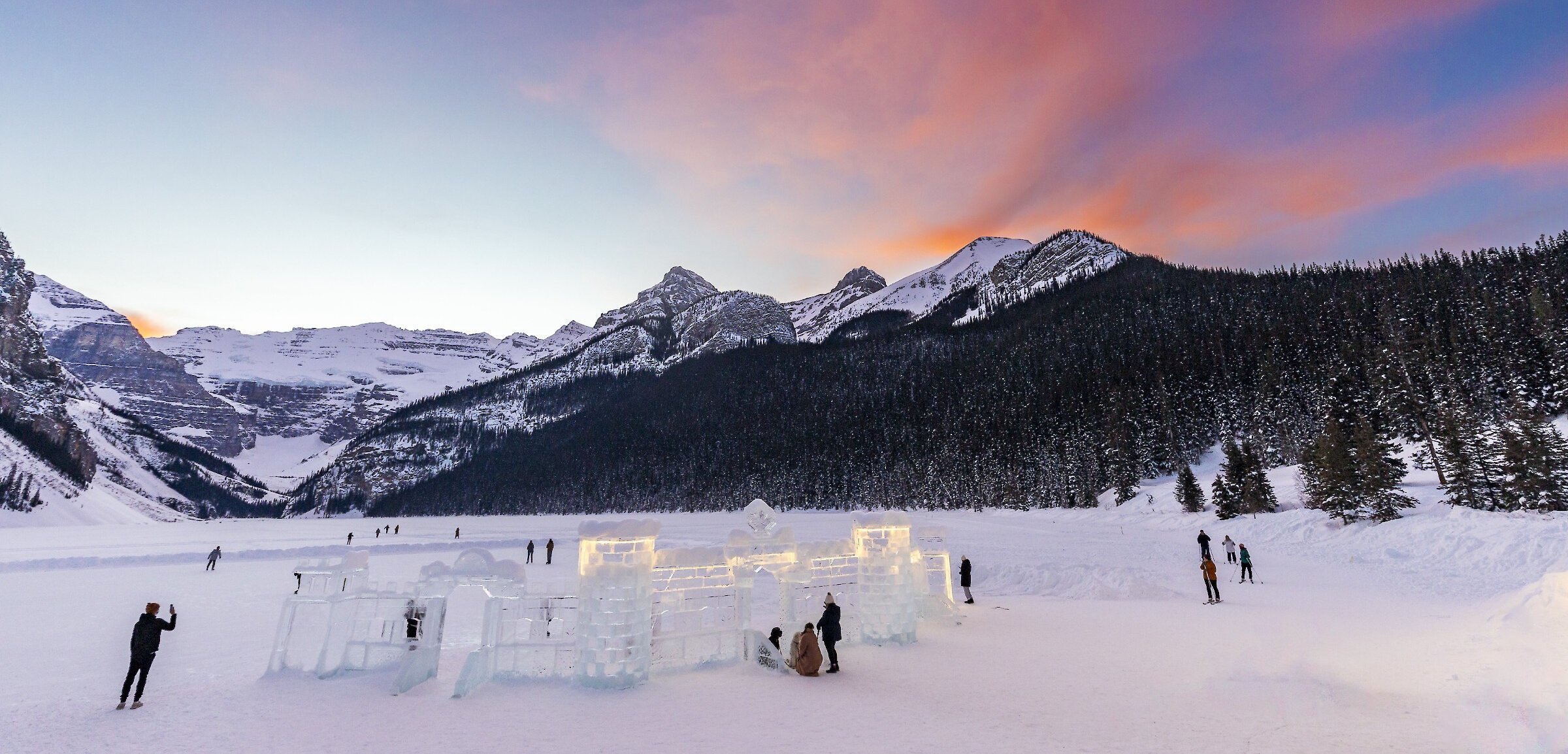 A herd of elk grazing in Banff National Park