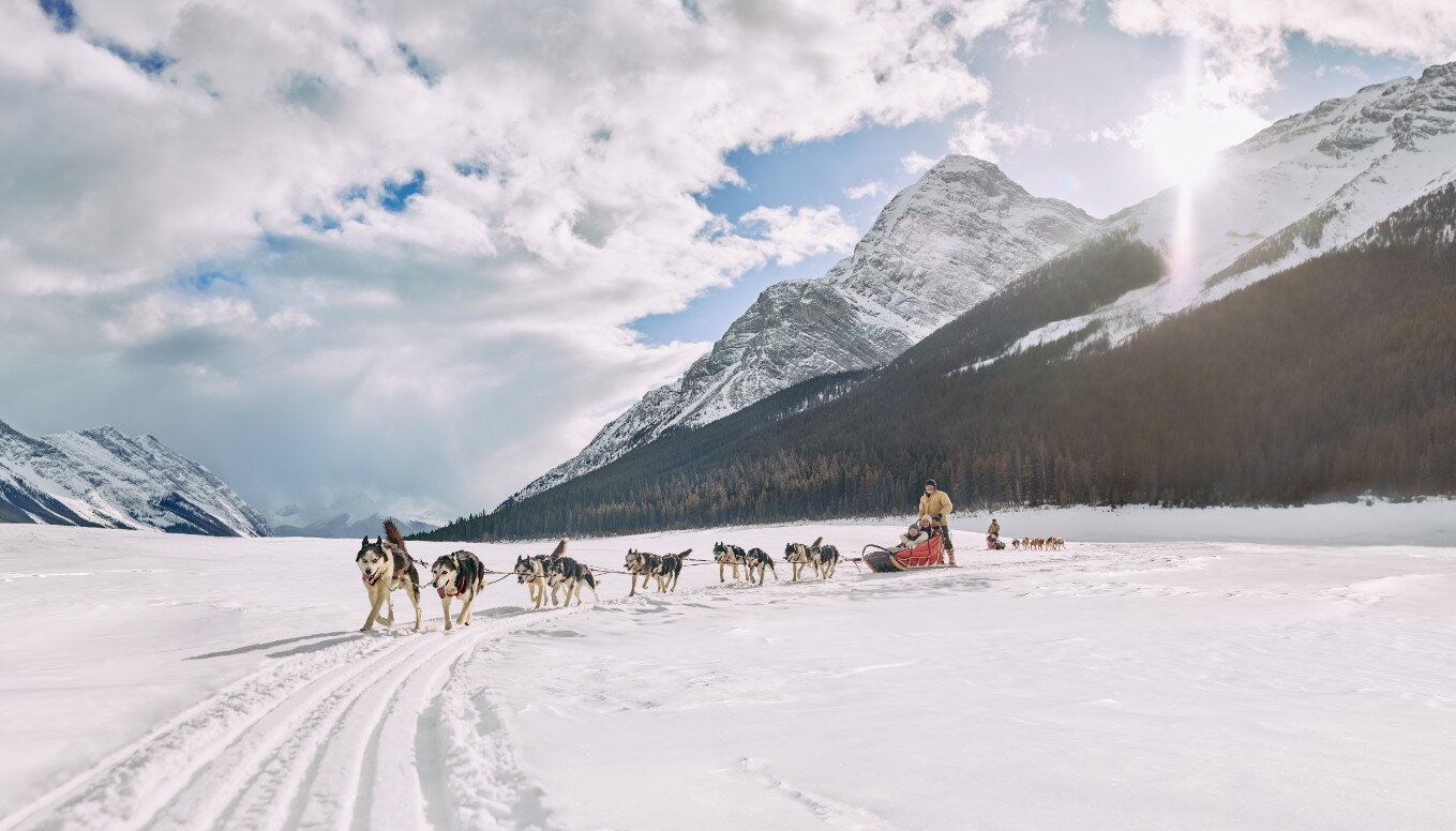 Dogsledding team on Spray Lakes in Kananaskis