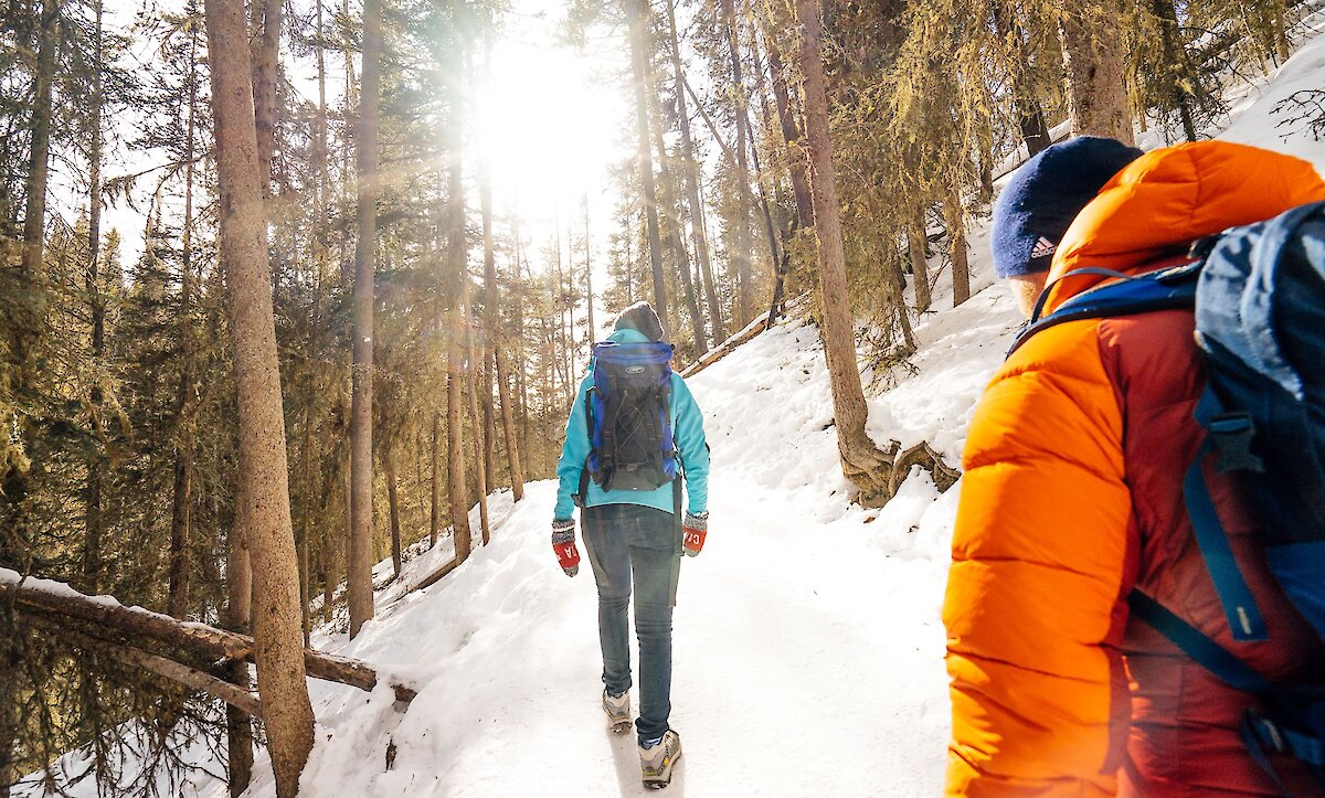 Icewalk in Johnston Canyon