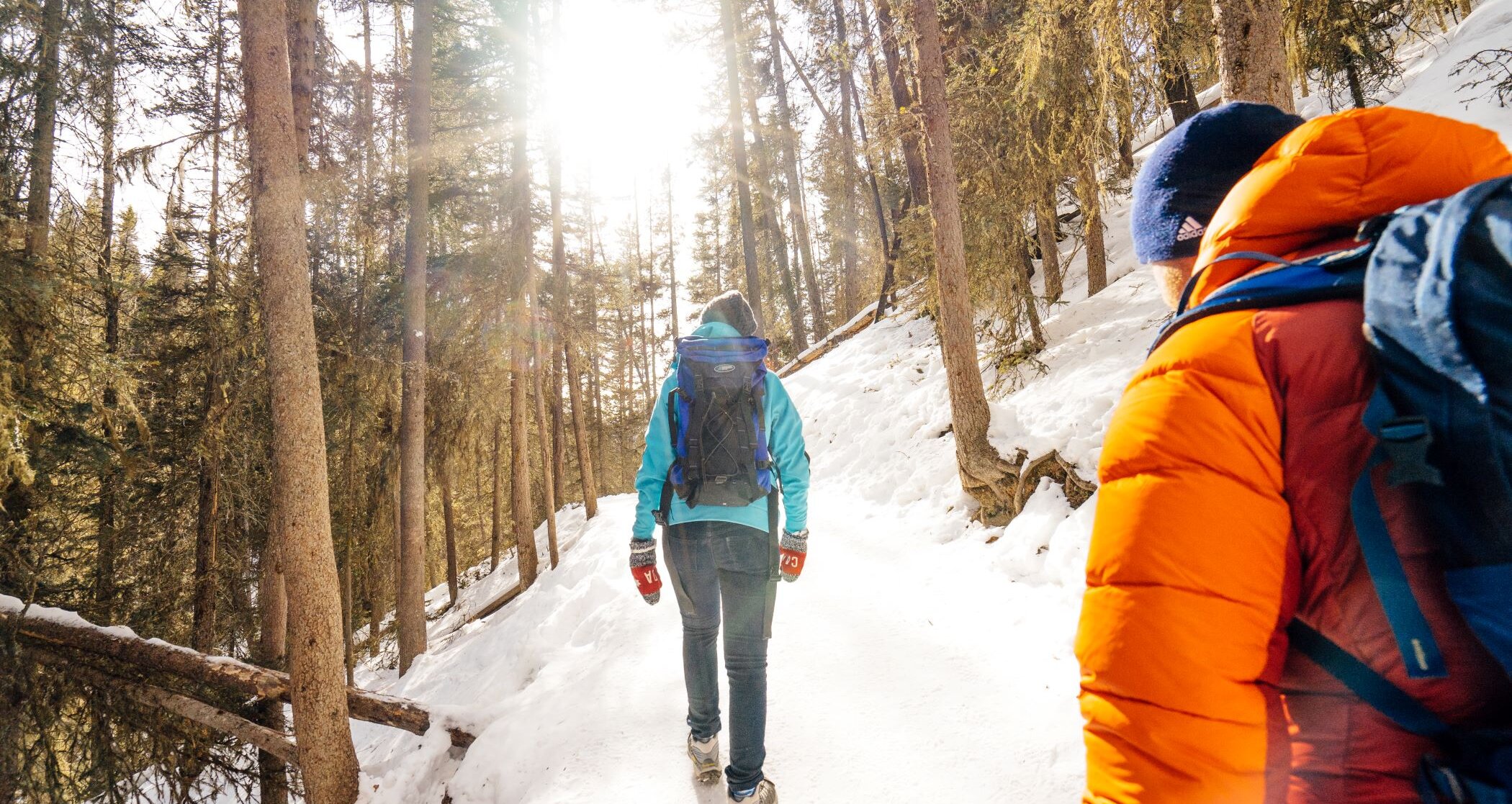 Icewalk in Johnston Canyon