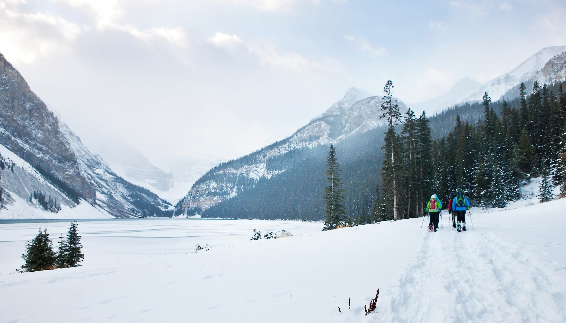 A group snowshoeing along Lake Louise Lakeshore