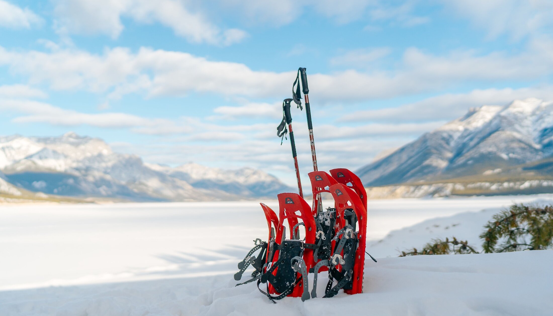 Snowshoes in the snow with a view of Abraham Lake