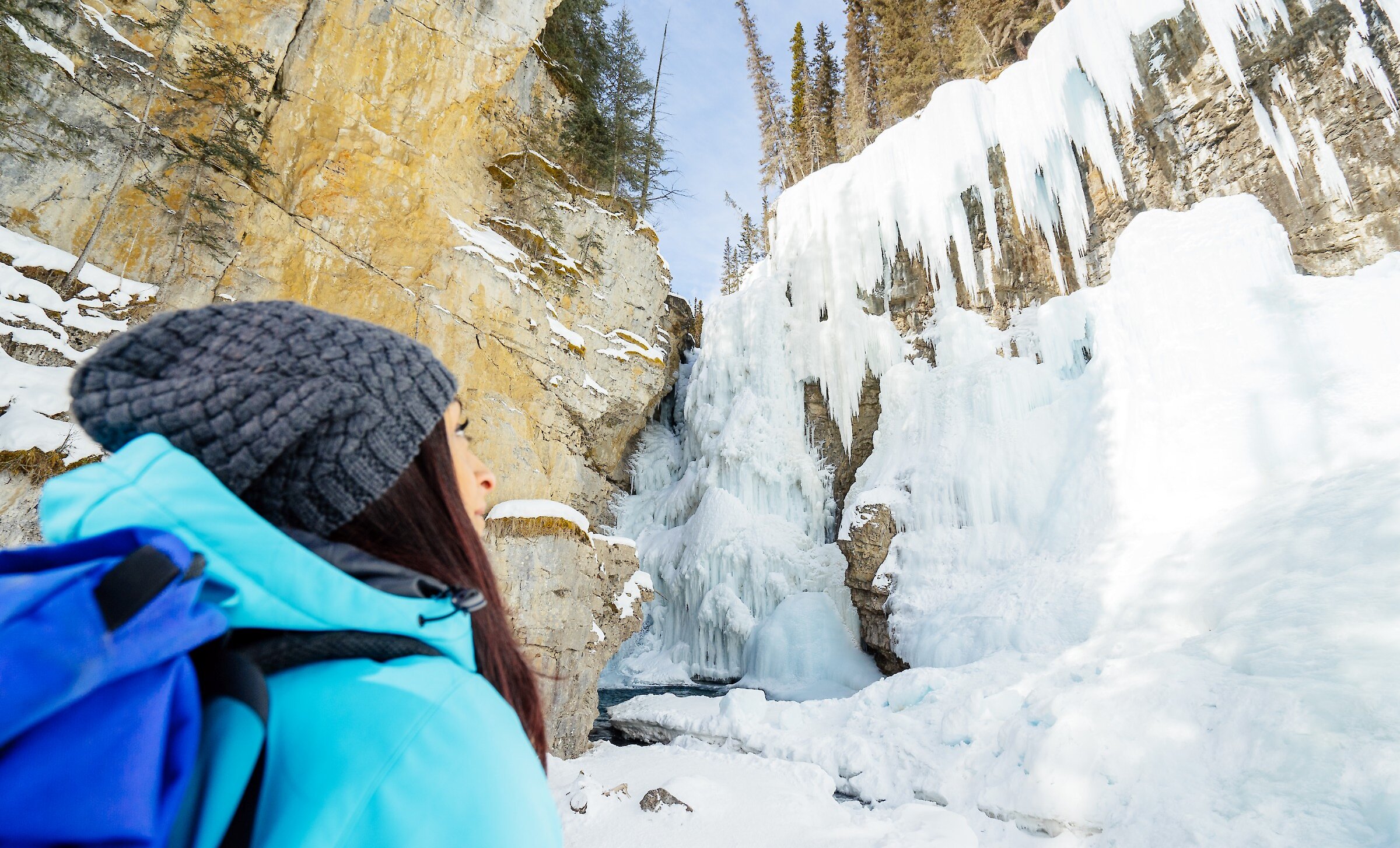 Horseback Riding in Banff National Park