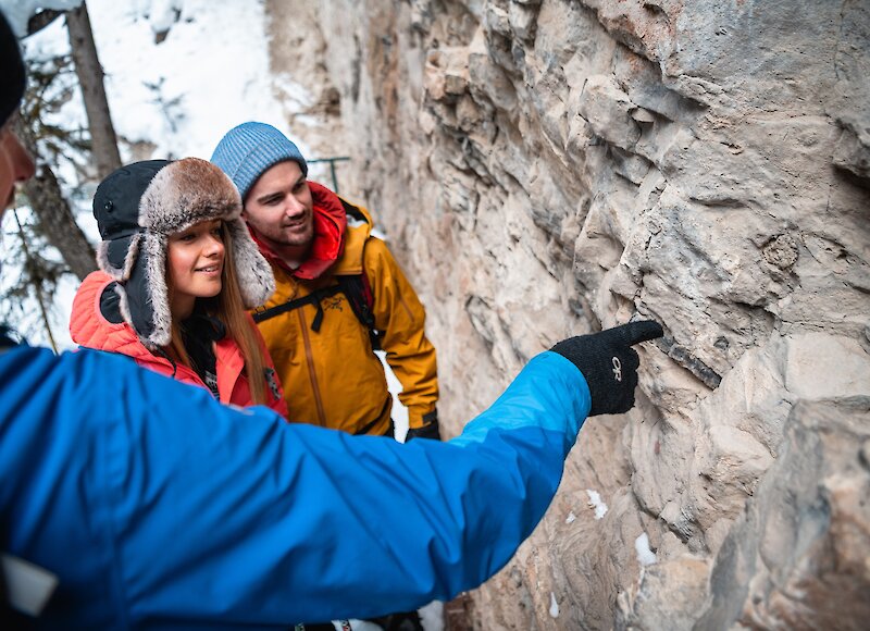 A guide pointing to ancient fossils at Johnston Canyon