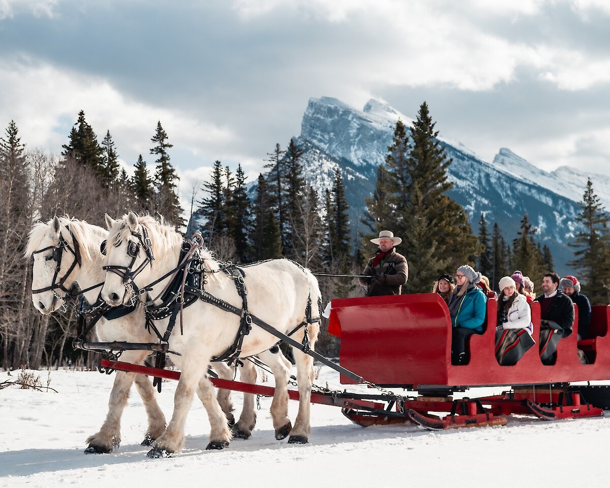 A horse drawn sled in winter pulling guests through the Banff meadow and mountains