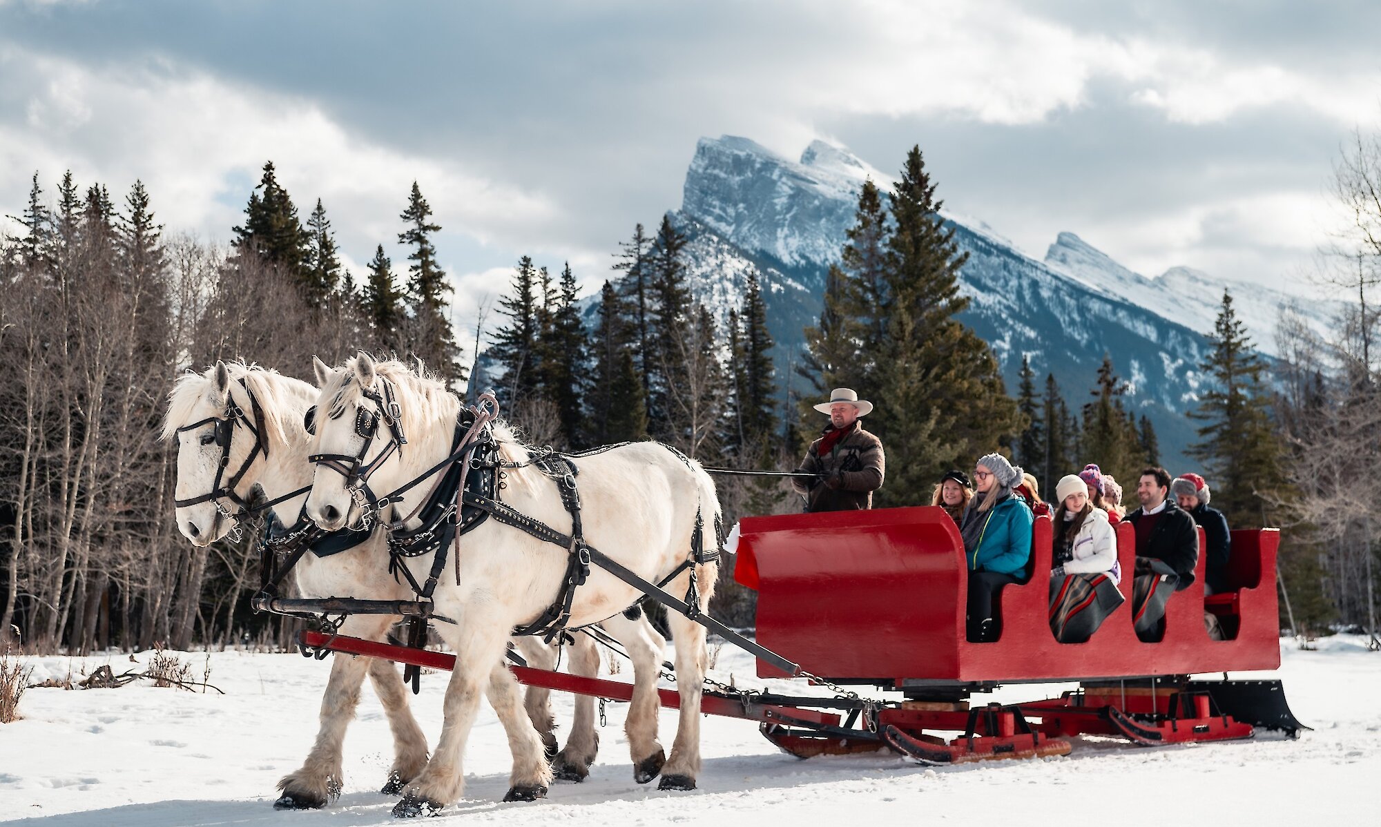 A horse drawn sled in winter pulling guests through the Banff meadow and mountains