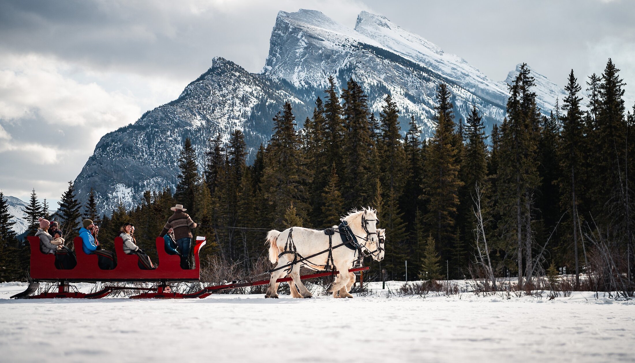 A sleigh ride under Mount Rundle in Banff