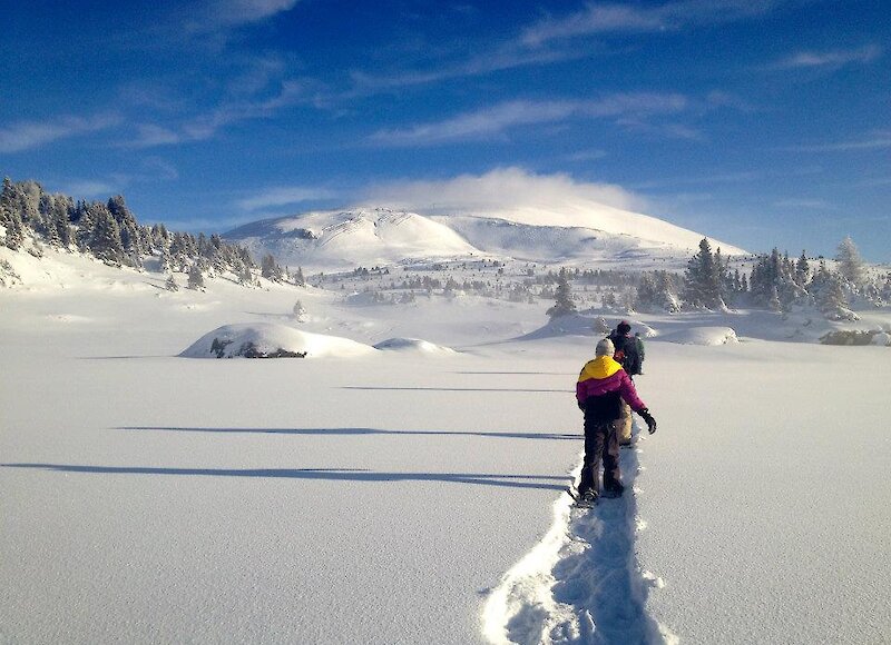 Sunshine Village Snowshoe Tour