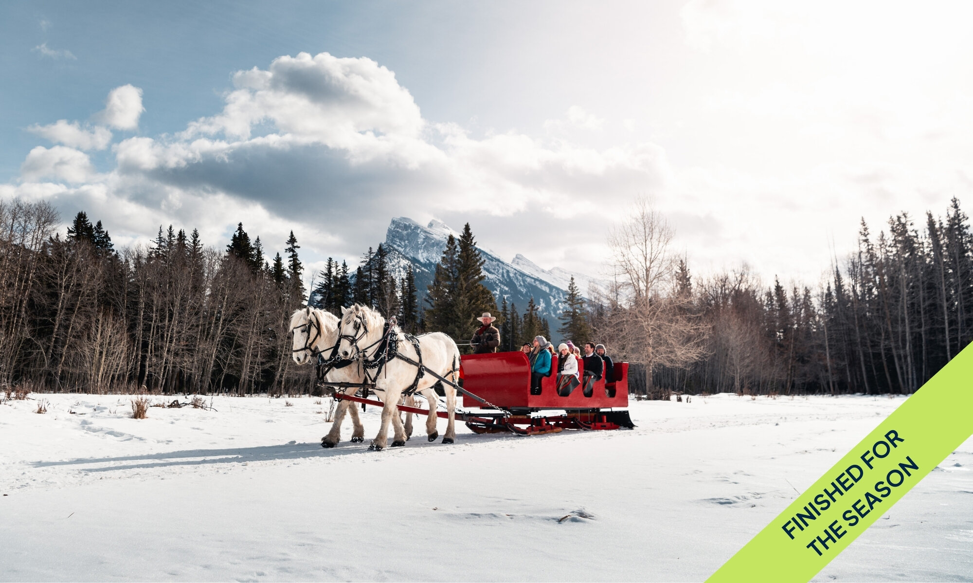 Public sleigh ride through the meadows of Banff