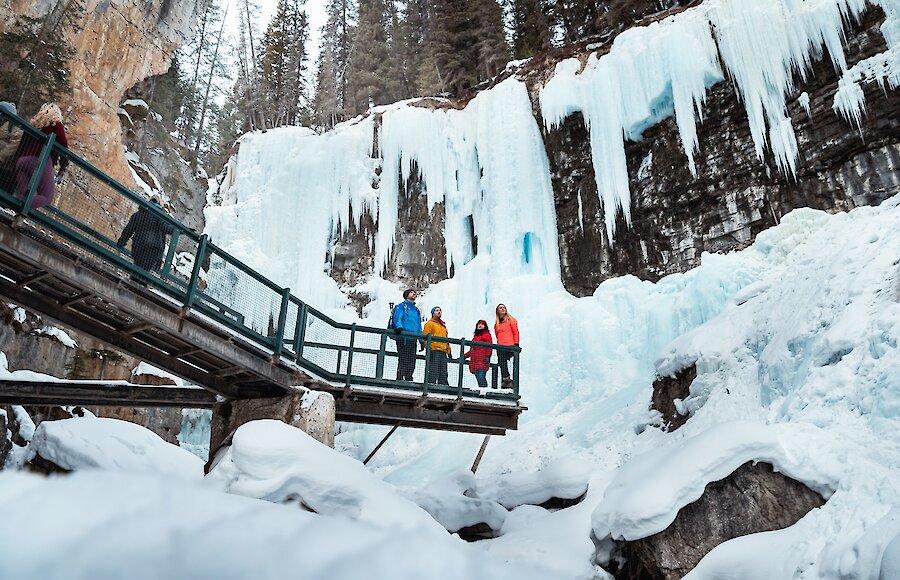 A group of friends looking at the ice falls at Johnston Canyon